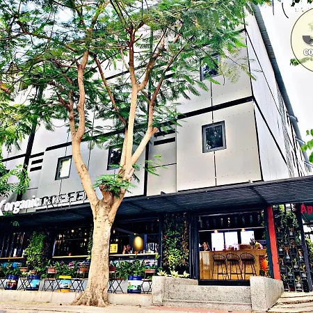 Jk Container House Hotel